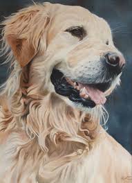 Golden Retriever Dog Portrait Oil Painting On Canvas Petportraits Petportrait Hayvan Dovmeleri Resimler Hayvanlar