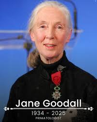 BREAKING NEWS: Jane Goodall, best known for her work studying chimpanzees  for over 60 years, has died at age 91.