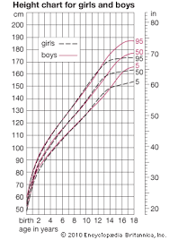 Child Development Growth Height Students Britannica