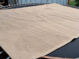 Check out the back of your jute rug to clean if needed then blot it dry by using paper towels or by a thick cloth & then heat your rug from the back by using your hairdryer. Cleaning A Jute Rug After A Dog Accident An Oregon Cottage