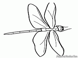 Feel free to print and color from the best 39+ dragonfly coloring page at getcolorings.com. Dragonfly Pictures To Print Coloring Home