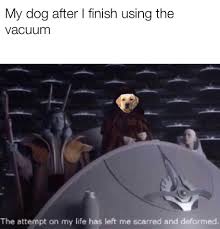 They Re Loud And Scary And They Clean Everywhere Prequelmemes Star Wars Humor Star Wars Memes Star Wars Jokes