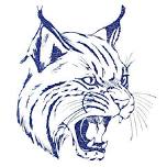 Water Canyon Girls JV Volleyball @ Panguitch