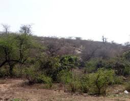 Govardhan parikrama | VIJAYRAMPATRIKA