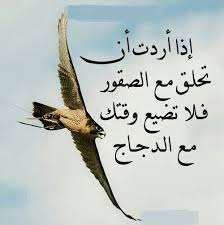 حلق مع الصقور Arabic Quotes Words General Quotes