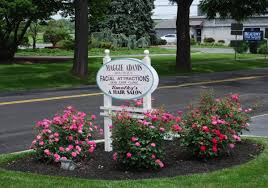 De witt talmage as i knew him (english) (as author) talmage, james e. Sportsman S Warehouse Camp Hill Pa 17011