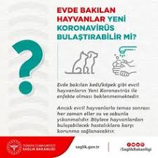 1 350 Begenme 336 Yorum Instagram Da T C Saglik Bakanligi Saglikbakanligi Evde Bakilan Hayvanlar Yeni Koronavirus Bulastirabil In 2020 Word Search Puzzle Words