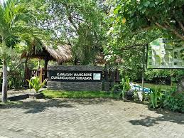 Check spelling or type a new query. Wisata Mangrove Gunung Anyar Harga Tiket Masuk 2021 Lokasi Fasilitas