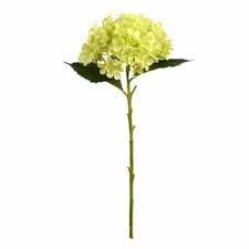 Bunch of green artificial snowball hydrangeas, realistic faux silk greenery. Green Hydrangea Faux Flowers You Ll Love In 2021 Wayfair