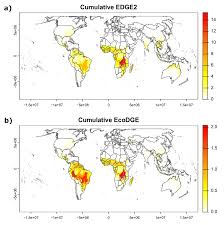 Image result for Scleria delicatula
