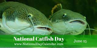 Wish your family and friends with national catfish day wishes, catfish quotes and greetings. National Catfish Day June 25 National Cat Day Cat Day Catfish