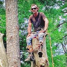 Tree climber/rigging expert here in east texas available!i have all the  necessary tools and equipment to tackle any tree in any situation and the  wheels to get me there.im slow during the