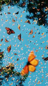 Check spelling or type a new query. Em Cute Phone Background Background Cute Lustaesthetic Phone Honeymoon Butterfly Wallpaper Iphone Cute Wallpaper Backgrounds Butterfly Wallpaper