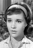 Actor Pictures for Perry Mason