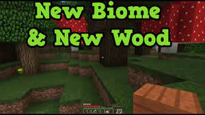 I noticed some of mine only generated birch and all the others generated spruce. Minecraft Xbox 360 Ps3 Tu31 Roofed Forest Biome Dark Oak Wood Youtube