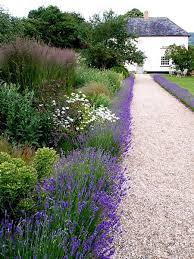 Dka Garden Design Photo Gallery Planting Scheme For Farm B B Garden Design Garden Border Plants Garden Paths