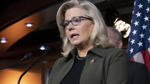 Trump's staunchest allies in Congress lash out at Wyoming Republican Liz  Cheney