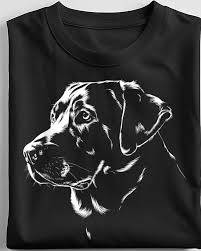 Dogs skill walk 🛍 You can order Short, long-sleeve tee and Hoodie  featuring prints of Labrador and other dog breeds by LINK TO PURCHASE IN  OUR BIO 👕⤵️ OR Visit website: https://teepetus.com/labrador ====