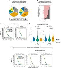 Rna polymerase is an enzyme that produces rna and catalyzes the initiation and elongation of rna chains from a dna template. Sx P14ll02s7hm