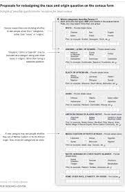 The census bureau collects racial data in accordance with guidelines provided by the u.s. U S Government Rethinking How Americans Would Identify Race Ethnicity Pew Research Center
