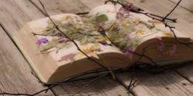Check spelling or type a new query. Make Your Own Pressed Flower Jewelry Box