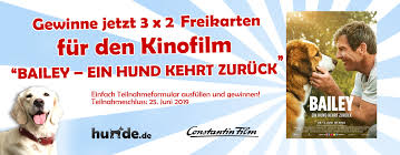 A/r specialist reporting directly to director of revenue cycle management. Gewinnspiel 3 X 2 Freikarten Fur Den Kinofilm Bailey Ein Hund Kehrt Zuruck Hunde De