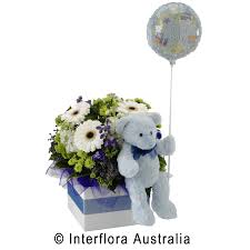 We have options like rose, gerbera, chrysanthemum, orchids, and carnation. It S A Boy Congratulations Baby Boy