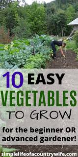 But some tough plants are more tolerant of these unnatural conditions and make a great choice for beginners, those who are forgetful, or to boost the confidence of black. 10 Easy Vegetables To Grow Growing Vegetables Easy Vegetables To Grow Starting A Garden