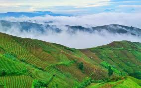 Eksperilunem > tiket wisata > harga tiket masuk the jungle terbaru 2021. 7 Tempat Wisata Di Kuningan Dan Majalengka Bernuansa Alam
