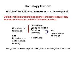 Xenolog Homologs Resulting From Horizontal Gene Transfer Ppt Video Online Download