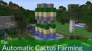 How underrated are cacti in minecraft? Automatic Cactus Farming In Minecraft Youtube