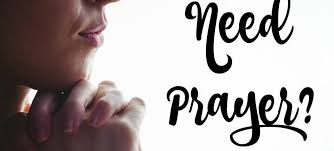 Thank you for your engagement with our online community. Prayer Request Waiting For Baby Bird Ministries