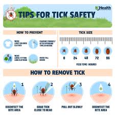 Image result for infected tick bite