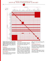 Apple Pollinator Chart Gardening Chart Apple Tree Apple