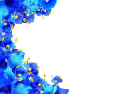 Floral Border 40 Free Stock Photos Rgbstock Free Stock Images Xymonau December 08 2009 519 Here you can explore hq blue border transparent illustrations, icons and clipart with filter setting like size, type, color etc. floral border 40 free stock photos