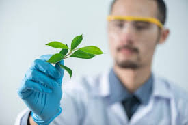 Bioagricultural Sciences (Ph.D.)