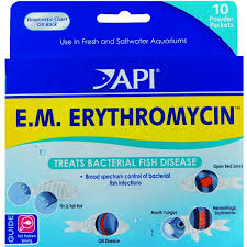Pin By Carrie On Aquarium Bacterial Infection Bacterial Diseases Disease