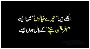 Pin By Dreaming Boy On Black Poetry Funny Sarcastic Quotes Funny Urdu Funny Poetry