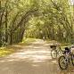 Birding and Biking the Withlacoochee State Trail — event image
