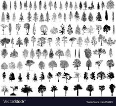 tree silhouettes vector image on vectorstock tree silhouette silhouette vector beautiful nature wallpaper