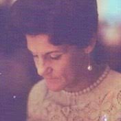 David Groot's Instagram, Twitter & Facebook