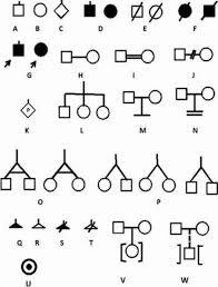 Illustrates The Common Symbols Used In A Pedigree Chart Open I