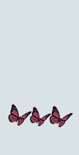 Blue And Pink Butterfly Wallpaper Pink Butterfly Butterfly Wallpaper Pink Wallpaper Iphone Try it now by clicking pink butterfly wallpapers and let us have the chance to serve.
