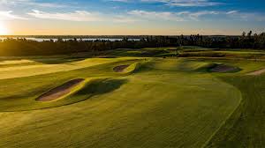 Image result for Lawsonia