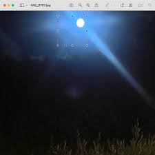 Layne Gray (@wylandgray) • Instagram photos and videos