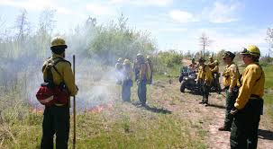 Get what you love for less. Restoring Fire To Native Grasslands The Nature Conservancy