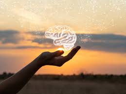 Pediatric brain tumors are very rare, and brain tumor symptoms in kids are common for many different conditions. World Brain Tumour Day 2021 Compounds Found In Cured Meats Cosmetics Exposure To Chemicals Can Be Fatal