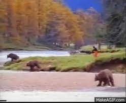 John West Salmon Bear Fight Ad On Make A Gif Do you think it is a funny ad? john west salmon bear fight ad on