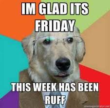 50 Funny Tgif Memes To Help You Get To The Weekend