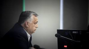 A kötelező oltások a következők: Dpfslz2nuv1rcm